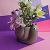 Noodle the Snail Planter