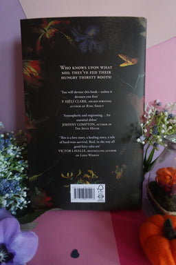 On Sundays She Picked Flowers by Yah Yah Scholfield (Hardback)