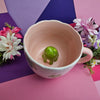 Secret Animal Mugs - The Full Set