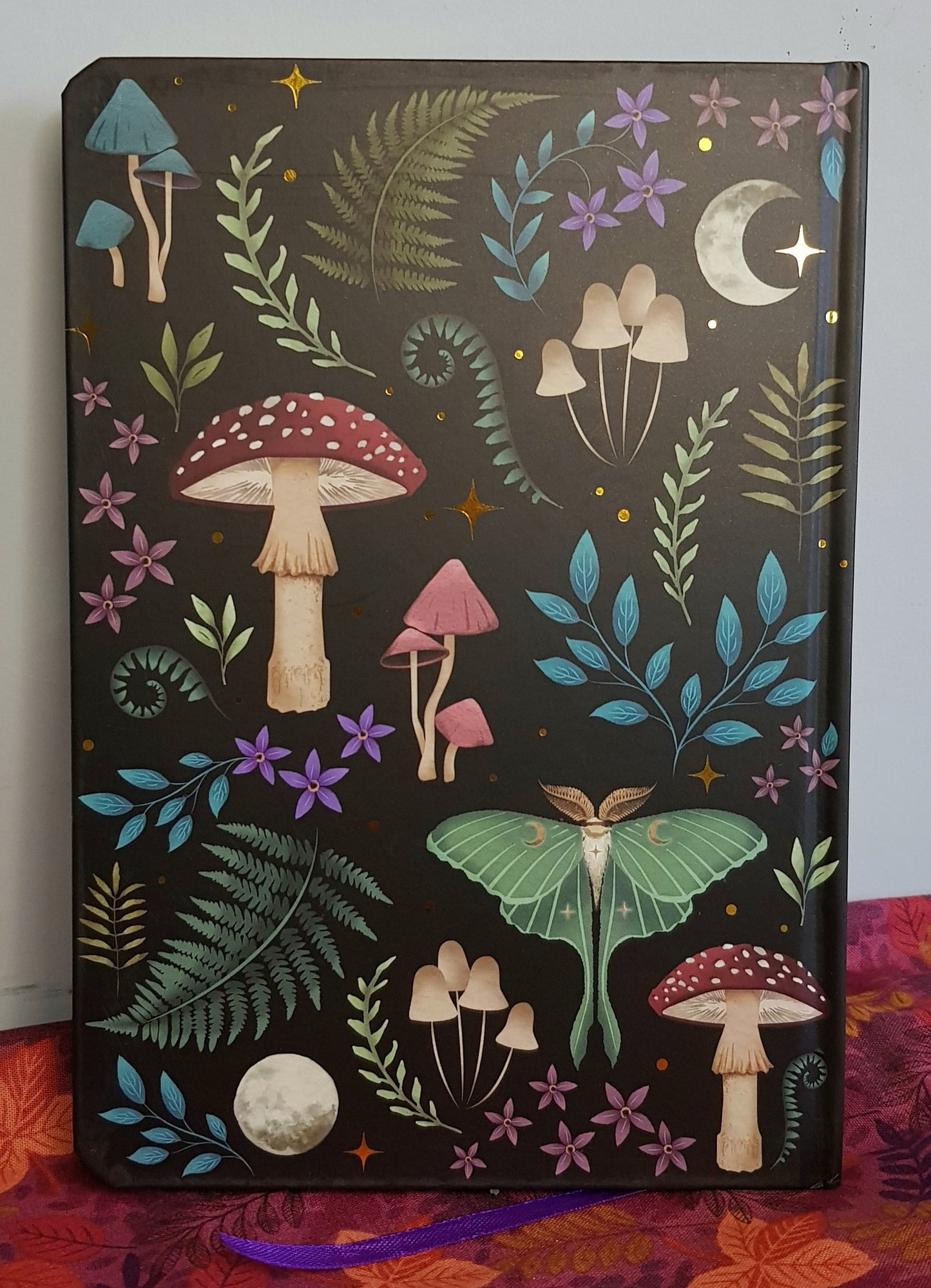 Dark Forest Notebook